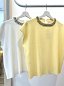 Top collar strass